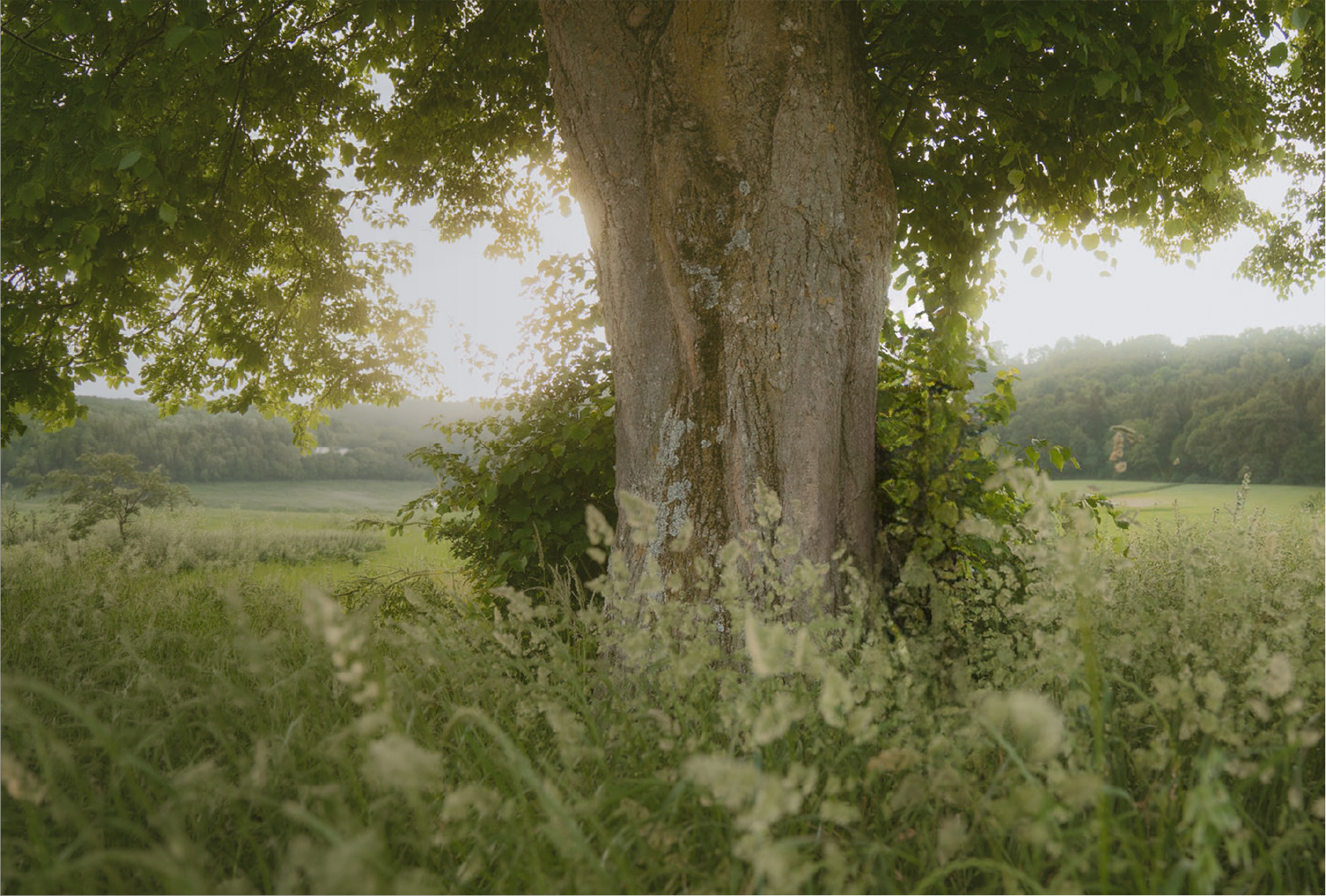 SomaticCompass-elisfotografie_3 Kopie